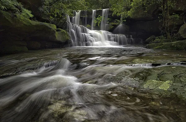 Brisbane Water National Park