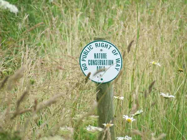 Conservation in the United Kingdom