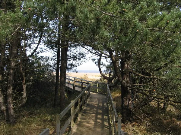 Holkham National Nature Reserve