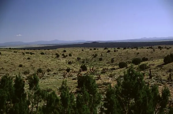 Carrizozo volcanic field