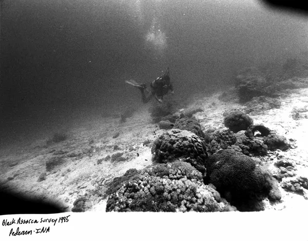 Black Assarca shipwreck
