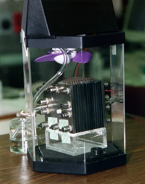 Fuel cell