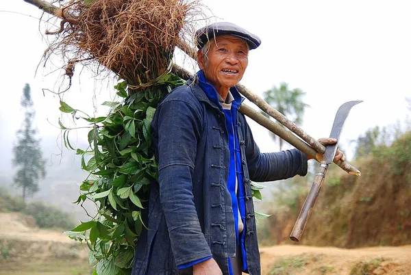 Agriculture in China