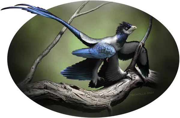 Feathered dinosaur