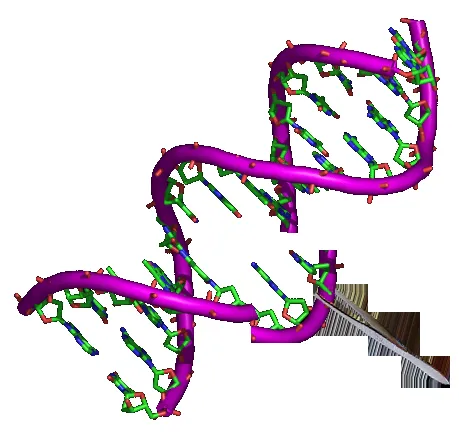 Genetic engineering