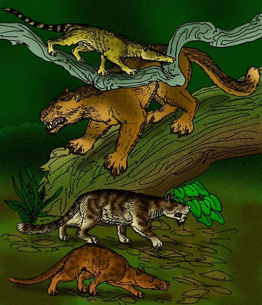 Creodonta