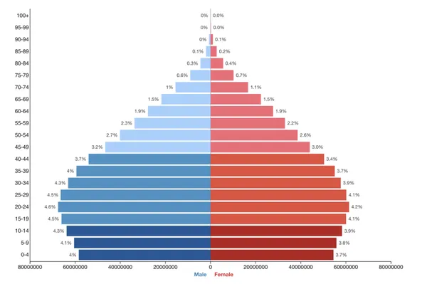 Demographics of India