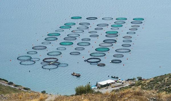 Fish farming