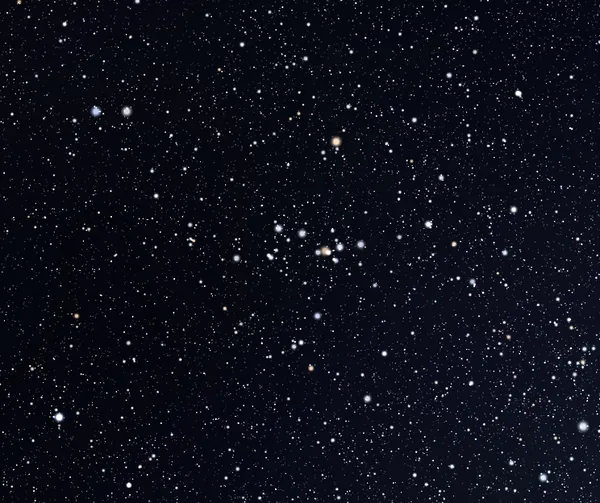 DY Persei