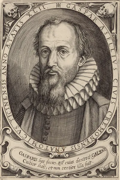 Gaspare Aselli