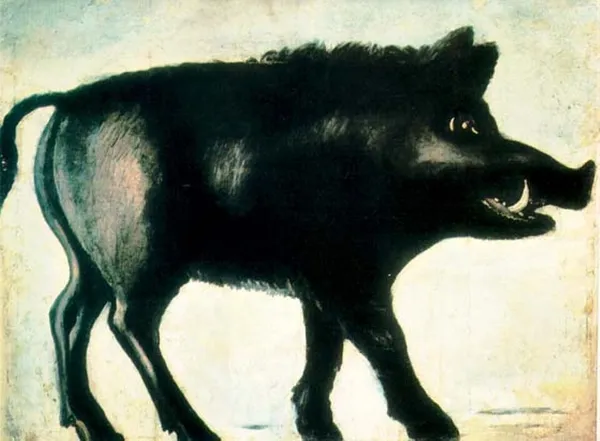 Black Pig's Dyke