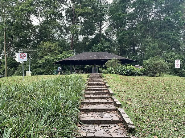 Bukit Timah Nature Reserve