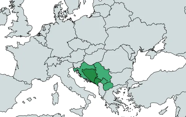 Bosnian language