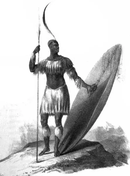 African military systems (1800–1900)