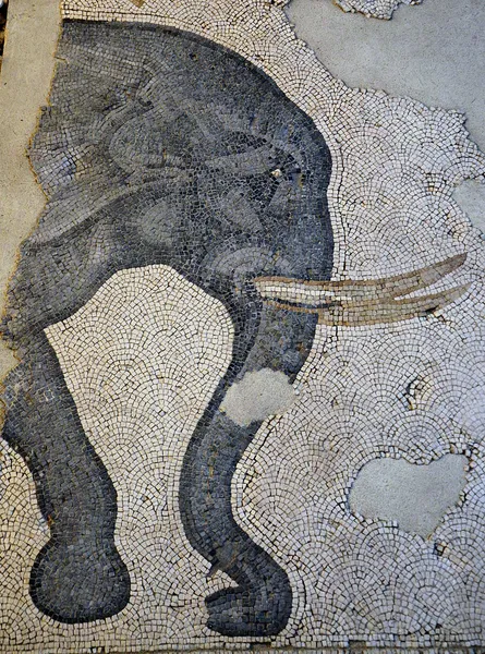 Cultural depictions of elephants