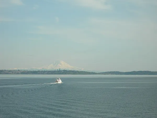 Environmental issues in Puget Sound