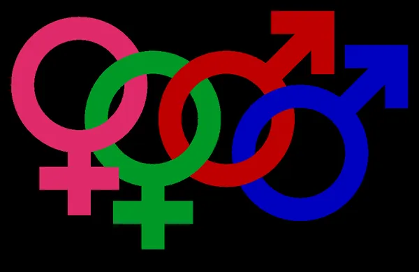 Environment and sexual orientation