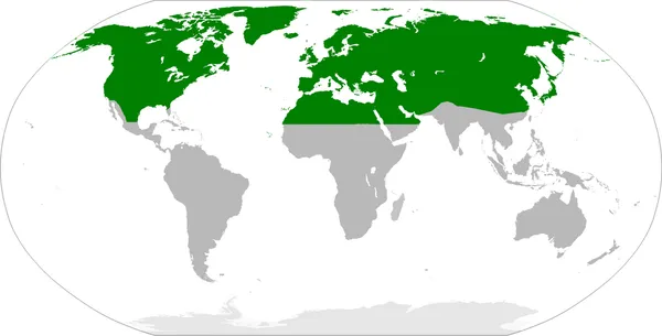 Holarctic realm