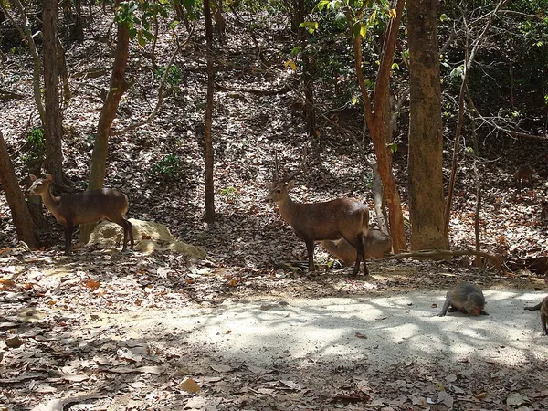 Hlawga Park