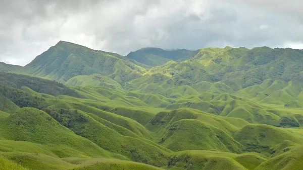 Dzukou Valley