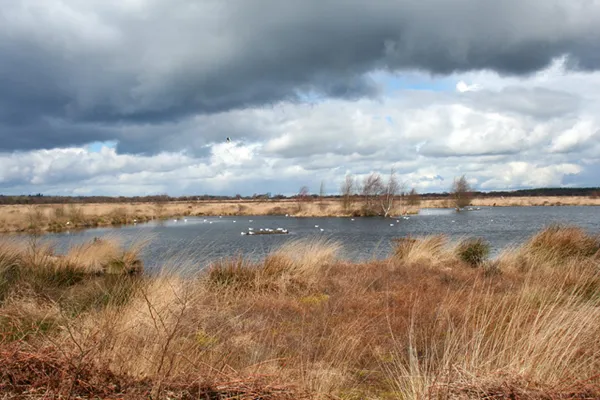 Fenn's, Whixall and Bettisfield Mosses National Nature Reserve