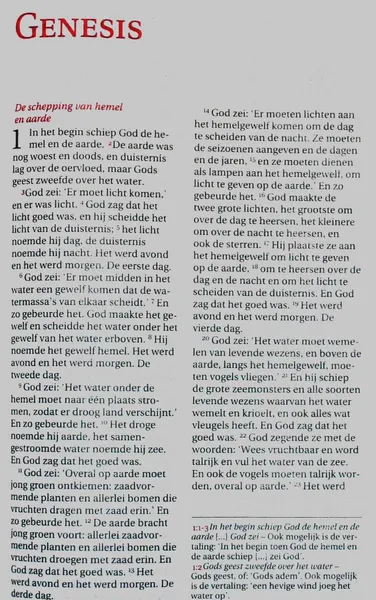 Dutch language