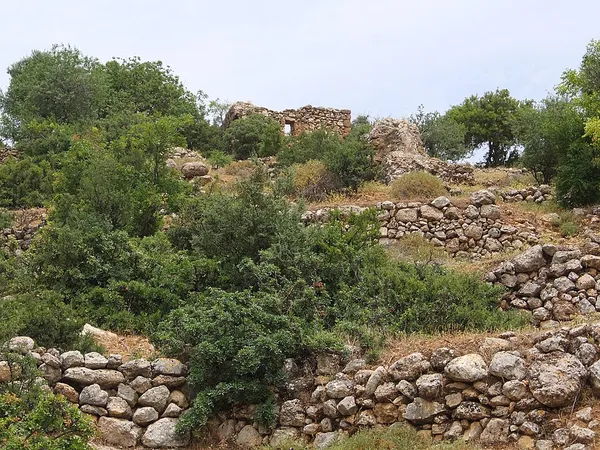 Farradiyya