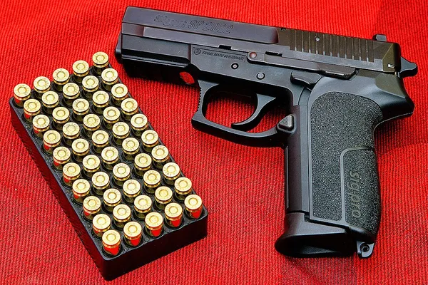 Gun