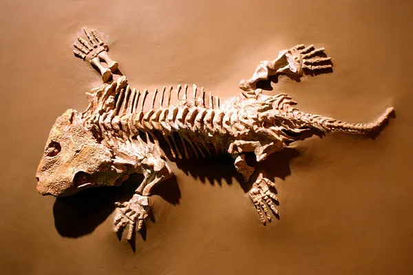 Anthracosauria