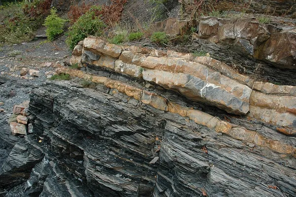 Alum Shale Formation