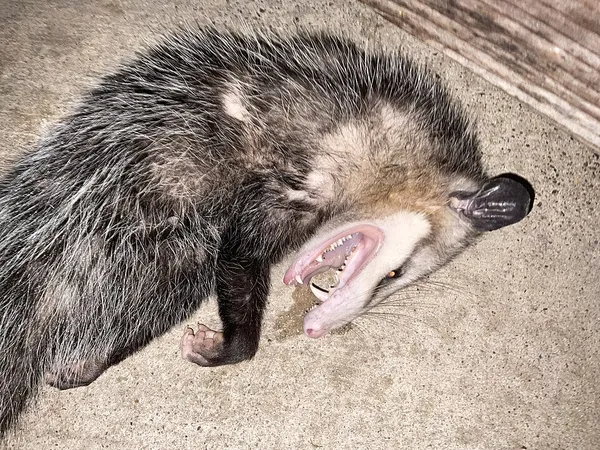 Apparent death