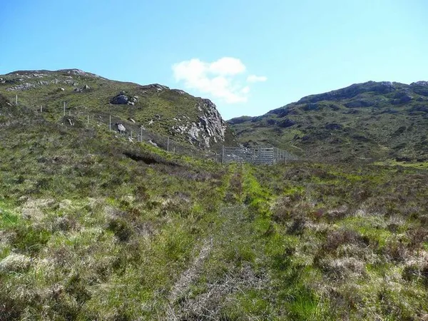 Assisted natural regeneration
