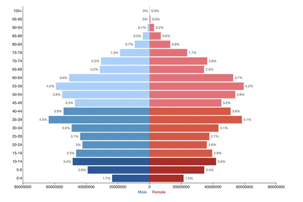 Demographics of China
