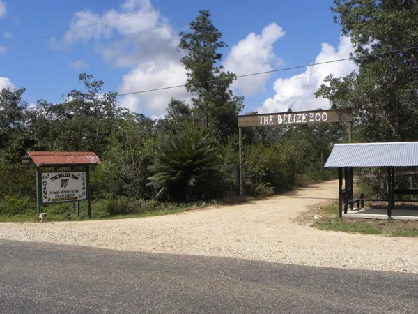 Belize Zoo