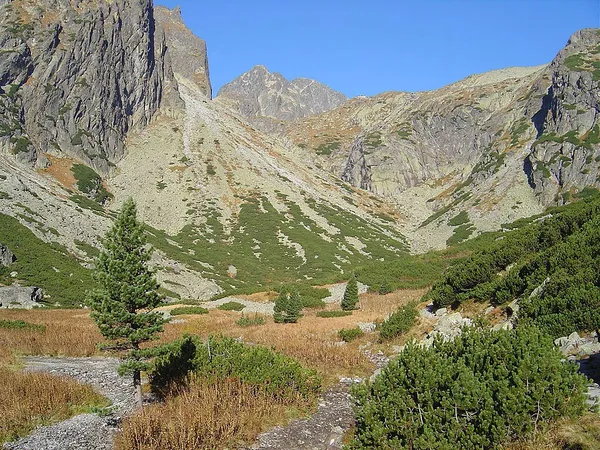 Geology of the Western Carpathians