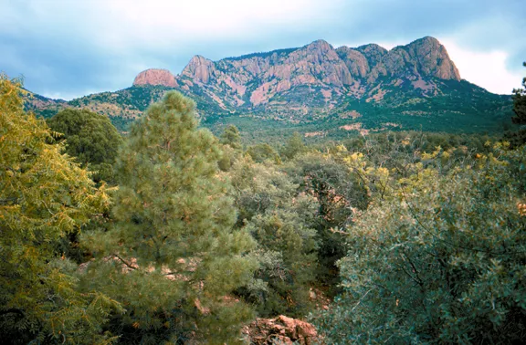 Cibola National Forest