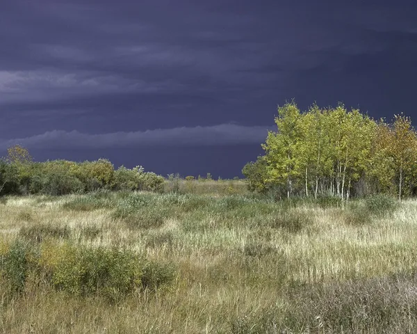 Agassiz National Wildlife Refuge