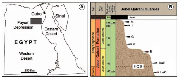 Jebel Qatrani Formation