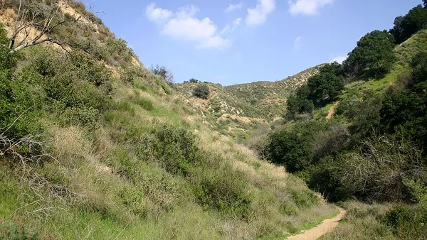 California coastal sage and chaparral