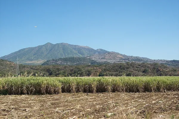 Ceboruco