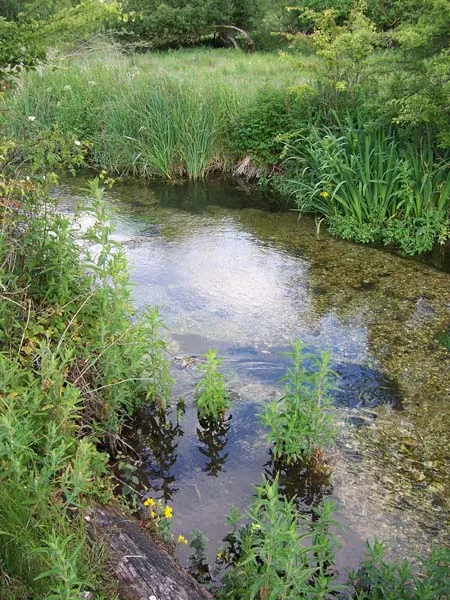 Chalk stream
