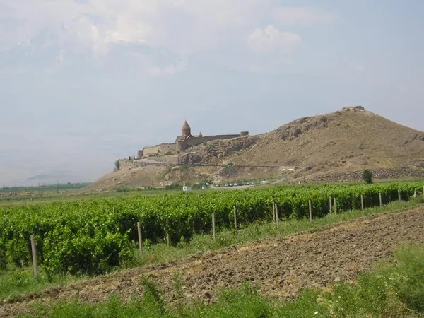Armenian wine