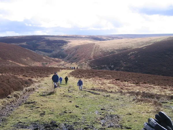 Exmoor