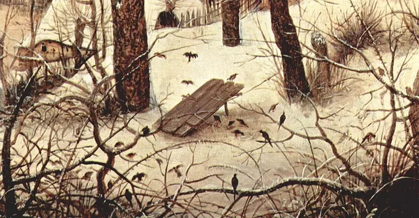 Bird trapping