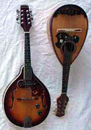 Electric mandolin