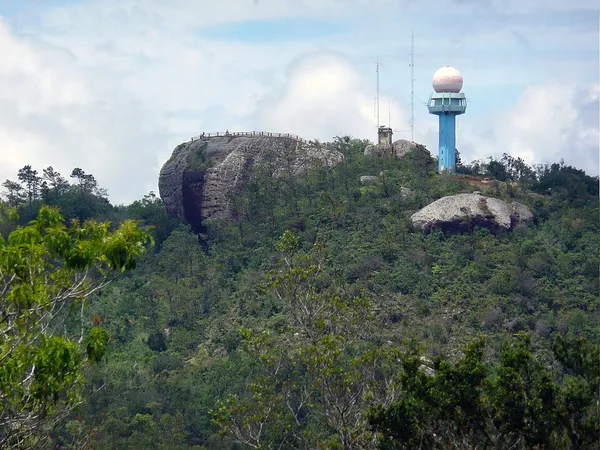 Cuban pine forests