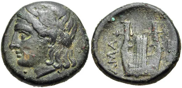 Hamaxitus