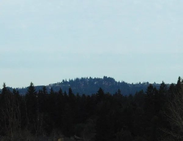 Boring Lava Field