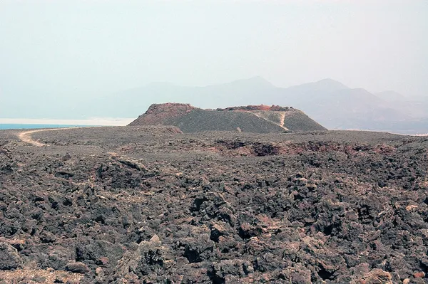 Ardoukoba