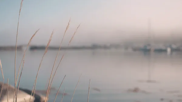 Cinemagraph